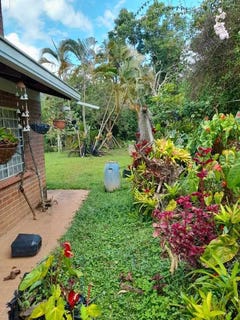 /international/co/kilometro-26-dagua-valle-del-cauca-310101440969/
