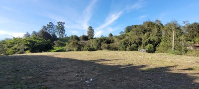 /international/co/vereda-quirama-rionegro-antioquia-310101279524/