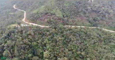 /international/co/vereda-el-carbon-buena-vista-0-vereda-el-carbon-alejandria-antioquia-antioquia-310101285191/?lang=it