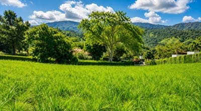 /international/co/anapoima-cundinamarca-310109075687/