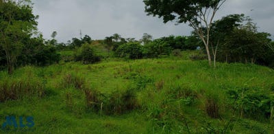 /international/co/sopetran-antioquia-310101181818/?lang=it