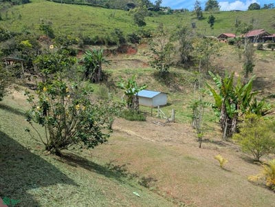 /international/co/la-cumbre-valle-la-cumbre-parque-principal-la-cumbre-valle-del-cauca-valle-del-cauca-310108327393/
