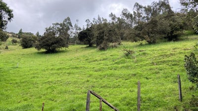 /international/co/la-calera-cundinamarca-310108319494/