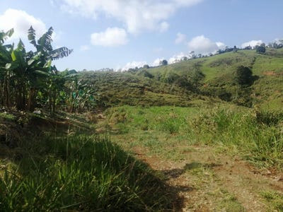 /international/co/cali-valle-del-cauca-310101080158/?lang=pt