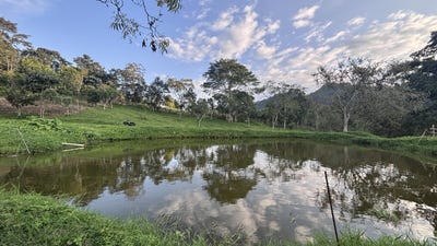 /international/co/guaduas-cundinamarca-310106428776/