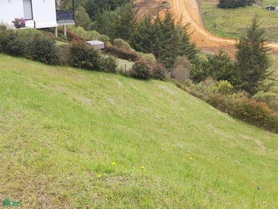 /international/co/kilometro-6-5-via-don-diego-la-ceja-villas-del-campo-el-retiro-medellin-antioquia-medellin-antioquia-310103041960/