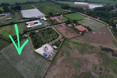 /international/co/km-carrera-1-palmira-valle-del-cauca-colombia-palmira-valle-del-cauca-310100935481/?lang=es