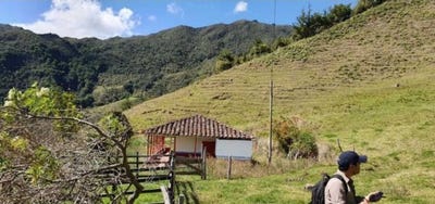 /international/co/vereda-quebradona-abejorral-abejorral-antioquia-310100934852/?lang=zh-tw