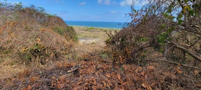 /international/co/cra-3-5-50-tubara-atlantico-colombia-tubara-atlantico-310101275801/?lang=es