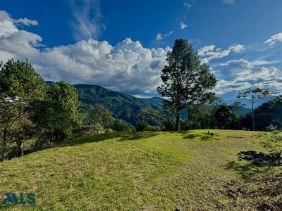 /international/co/lot-e-6-envigado-antioquia-310107591391/