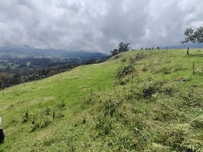 /international/co/pacho-cundinamarca-310108325080/