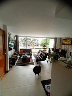 /international/co/los-colores-laureles-estadio-medellin-antioquia-colombia-medellin-antioquia-310101485968/