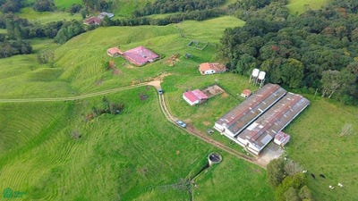 /international/co/san-cristobal-finca-la-juliana-medellin-medellin-antioquia-medellin-antioquia-310100791908/