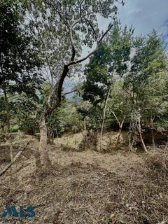 /international/co/santa-fe-de-antioquia-antioquia-310100931169/?lang=de