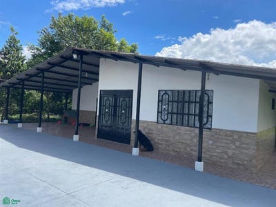 /international/co/km-4-via-san-nicolas-casa-5-a-vereda-la-floresta-villavicencio-villavicencio-meta-villavicencio-meta-310106860667/