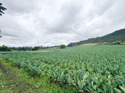 /international/co/tabio-cundinamarca-310108318361/