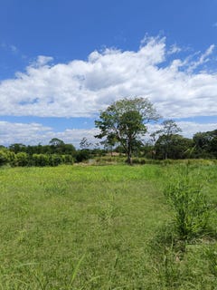 /international/co/pereira-risaralda-310108325175/