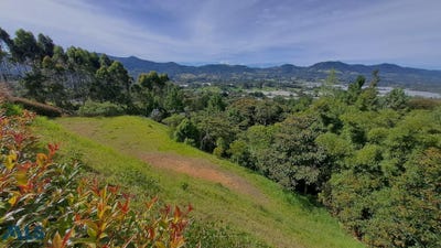 /international/co/la-ceja-antioquia-310101042774/?lang=en