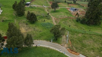 /international/co/san-pedro-de-los-milagros-antioquia-310100429976/