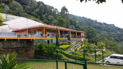 /international/co/la-castilla-cali-valle-del-cauca-colombia-cali-valle-del-cauca-310095268938/