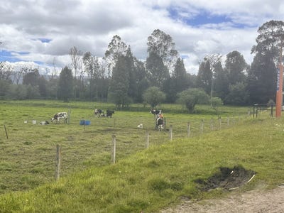 /international/co/la-calera-cundinamarca-310108322476/