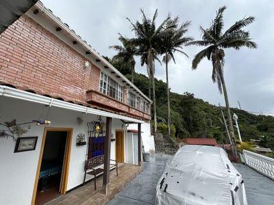 /international/co/felidia-felidia-valle-del-cauca-310106775457/