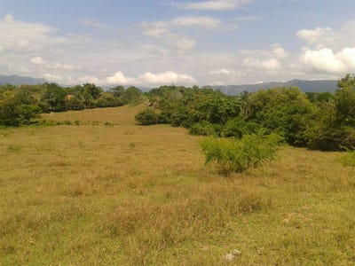 /international/co/carmen-de-apicala-tolima-310108321052/