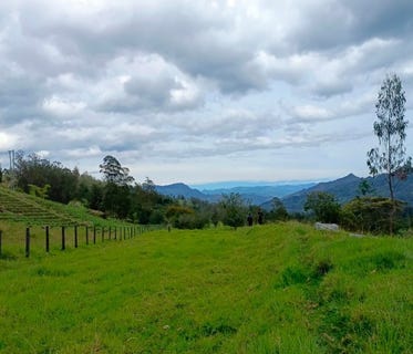 /international/co/cl-7-16-14-pacho-cundinamarca-colombia-pacho-cundinamarca-310101483990/?lang=zh-tw