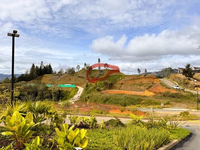 /international/co/rionegro-rionegro-antioquia-310095804511/