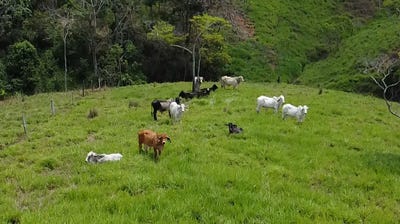 /international/co/10-51-cra-7-puerto-berrio-antioquia-310100276137/?lang=zh-tw
