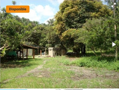 /international/co/via-vda-piles-palmira-valle-del-cauca-colombia-palmira-valle-del-cauca-310101443959/