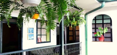 /international/co/popayan-cauca-310101106594/?lang=it