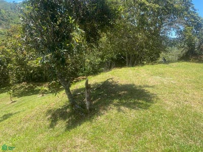 /international/co/vereda-santa-rita-predio-1-guarne-guarne-antioquia-guarne-antioquia-310101247699/?lang=de