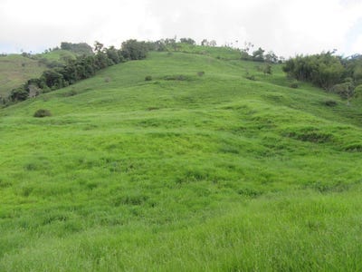 /international/co/yacopi-yacopi-cundinamarca-colombia-yacopi-cundinamarca-310100408630/
