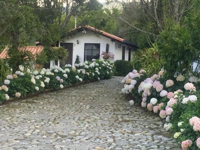 /international/co/la-ceja-antioquia-310108325196/