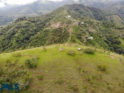 /international/co/unit-0-san-jeronimo-antioquia-120079266779/