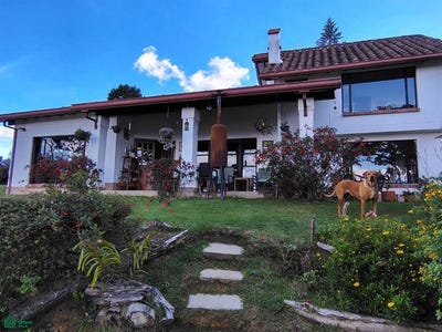 /international/co/via-san-roque-finca-238-0115-santa-elena-medellin-antioquia-050017-medellin-antioquia-310106519553/
