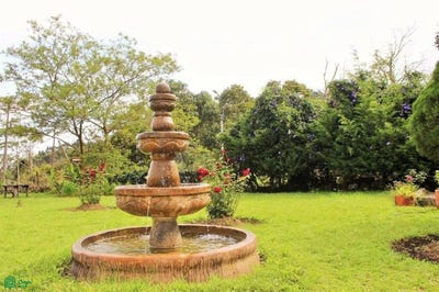 /international/co/nueva-san-francisco-via-al-mar-dagua-valle-del-cauca-dagua-valle-del-cauca-310099649651/