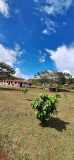 /international/co/el-carmen-dagua-valle-del-cauca-colombia-dagua-valle-del-cauca-310101441909/?lang=zh-tw