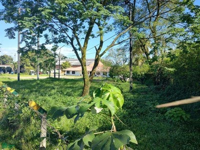 /international/co/anillo-vial-antes-de-casa-toro-cruce-esquina-carretera-del-amor-villavicencio-villavicencio-meta-villavicencio-meta-310101530994/?lang=de