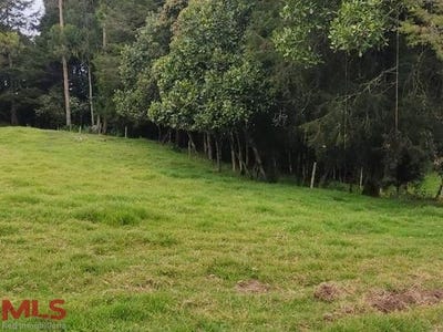/international/co/unit-0-santa-elena-casanare-310092165121/