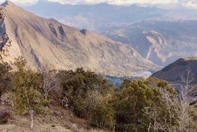 /international/co/pacho-cundinamarca-310108323831/