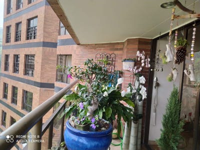 /international/co/av-1-1-72-normandia-sebastian-de-belalcazar-cali-valle-del-cauca-colombia-cali-valle-del-cauca-310101484536/?lang=pt