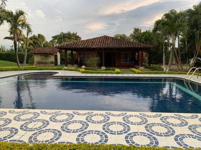 /international/co/rozo-palmira-palmira-valle-del-cauca-colombia-palmira-valle-del-cauca-310101443380/?lang=fr
