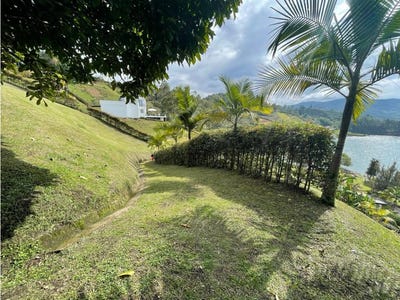 /international/co/el-penol-antioquia-antioquia-310100953375/?lang=zh-cn