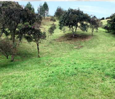 /international/co/av-las-palmas-envigado-antioquia-colombia-envigado-antioquia-310100991713/?lang=zh-tw