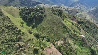 /international/co/finca-alto-bello-genova-quindio-genova-quindio-quindio-armenia-quindio-632067-armenia-antioquia-310107836626/