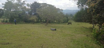 /international/co/la-ceja-la-ceja-antioquia-310095646512/?lang=zh-cn