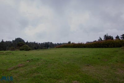 /international/co/envigado-antioquia-310097319184/