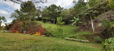 /international/co/cra-2b-oe-15-15-cali-valle-del-cauca-colombia-cali-valle-del-cauca-310101277606/